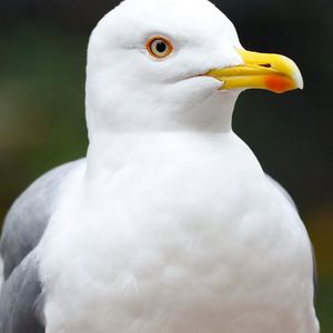 Close up detail of eye exercise guide