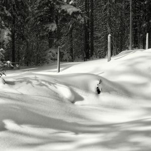 Serene environment for visual relaxation